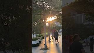 Evening view of Sentosa  | Singapore #sentosa #eveningvlog