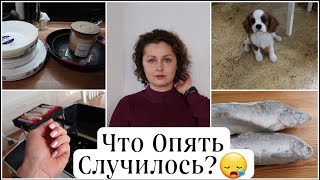 😥ЧТО ОПЯТЬ СЛУЧИЛОСЬ? МОИ ПОДАРКИ на ДЕНЬ РОЖДЕНИЯ * КАК ОТЛИЧИТЬ САМКУ ГОРБУШИ * ОБНОВИЛА МАНИКЮР