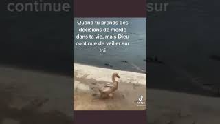 Luckiest Duck | You won't believe the End Tiktok #shorts