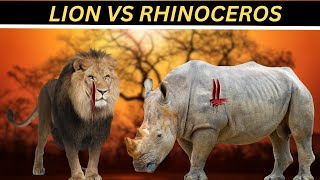 Lion vs. Rhinoceros - Lessons in Survival