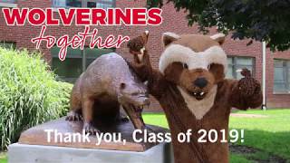 The Class of 2019 Gift – Wolverines, Together