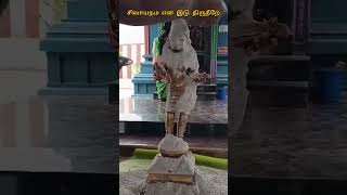 சிவாயநம என இடு திருநீறே அபாயம் ஒரு காலும் இல்லை #சிவன் #shorts #short #share