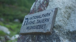 Die Wildnis der Sulzbachtäler