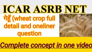 ICAR Net Asrb full detail of Wheat crop in one liner