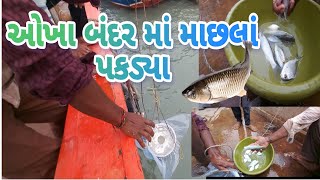 સમુદ્રીય નજારો 33 is going live!  ઓખા બંદરમાં માછલાં પકડવા