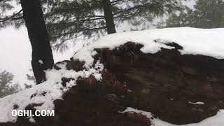 Vlog pinja Gali Snow fall #vlog Traveling Vlog#oghi