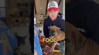 How to switch your dogs food! #dogfood