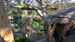 Swiss Family Treehouse