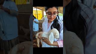 Vet life(120 days in 12sec)#shorts #veterinary #neet #neet2022 #neetmotivation #college #aspirants