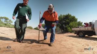 CMP Controlling foxes in the Mallee