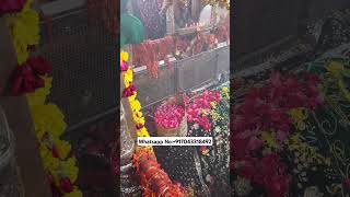 Mira datar dargah Urs stetus|whatsapp qawwali status|2024new qawwali|Famous qawwali|mira data