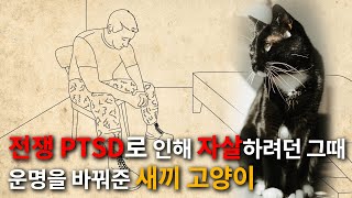 극단적 선택 직전 마지막 담배를 태우고 있던 군인..바로 그때, 풀숲에서 희미한 소리가 들려오는데