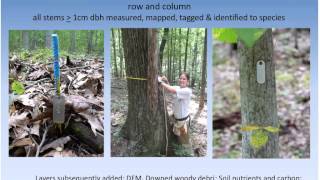 Deer invasive species interaction (Sept 2014)