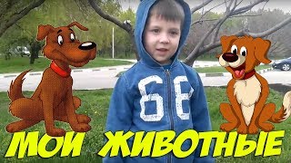 Мои животные. Собака - верный друг.