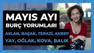 Mayıs Ayı Burç Yorumları | ASLAN, BAŞAK, TERAZİ, AKREP, YAY, OĞLAK, KOVA, BALIK