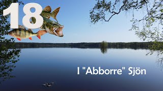 Besök i "abborre"-sjön.