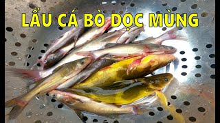 Lẩu cá bò dọc mùng dân dã miền quê