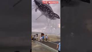 THE WHALE