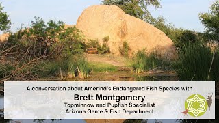 Endangered Fish Species at Amerind: A conversation Brett Montgomery