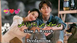 Har Sok Che ZamaYar Shey Niamat Showgi New Pashto | Pashto new songs | @deedanoona