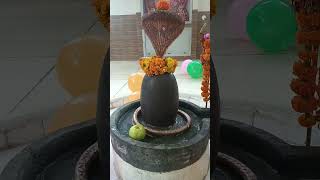 shiv bholenath #shorts #short #shortsvideo #viral #viralvideo #viralshort @Learningrocks21