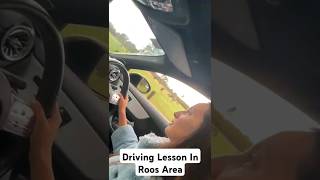 Driving Lesson With Kangarros #kangaroo #driving