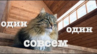 #90. Один день один. [Жизнь на своей земле]