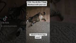 T-Tapp Workout with Lucy, my Cat