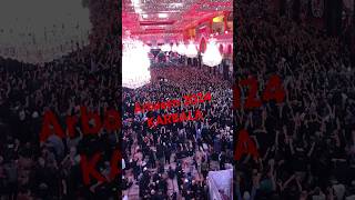 Arbaeen 2024 karbala iraq #muharram #yaali #karbalastatus  #arbaeen #karbala2024