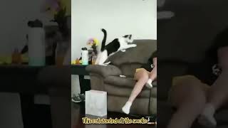 she fights her cat and...🤣video