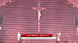 St Oscar Romero Parish - Holy Rosary - 8am Tuesday Mass