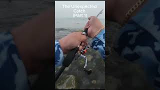 unexpected catch part 1 (watch the full video on my channel #fishing #anglerslife #anglingadventures