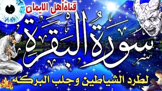 سورة البقرة كاملة مكررة لطرد الشياطين والجن والسحر والحسد وجلب الرزق والبركة والتحصين surat albaqara