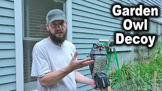 Owl Decoy to Protect Garden From Critters! | HiAnifri Scarecrow for birds, mice, chipmunks, etc.