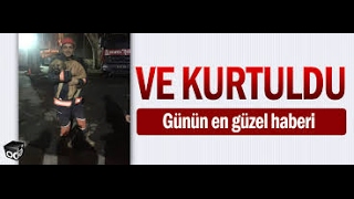 Beykoz'da kuyuya düşen yavru köpek 10 gün sonra kurtarıldı