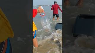 Panen kerang hijau..,#vidioshort #seafood #viralvideo