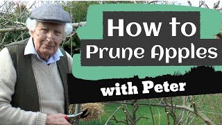 How to Prune Apple Trees | Peter Seabrook