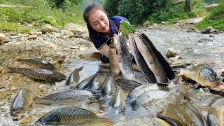 How to catch giant fish on a rainy day bring it to the central market to sell - Cooking - Ly Thi Tam