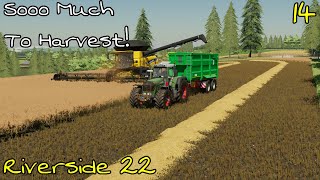 So Much To Harvest In Such Little Time! - Riverside 22 Ep 14 - Farming Simulator 22