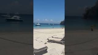 Skydiver in Panama arrives at the beach in style