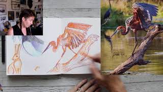 Sketchbook session - live stream - colour pencil sketching