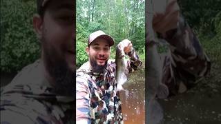 Caught a catfish on the Berkley Gulp Leech! #shorts #fishing #bankfishing #outdoors #creekfishing