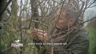 De la terre à l'assiette - Épisode 76 - La production de pomme bio