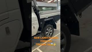 New Landcruiser 300 series real Beast