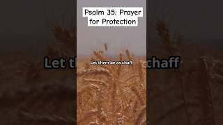 Psalm 35: A Prayer you should pray when you want God to fight for you   #prayer #praise #worship