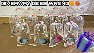 FLOWERHORN GIVEAWAY GONE WRONG😡 | WORST EXPERIENCE 😔| #petgiveaway #giveaway #freeflowerhorn