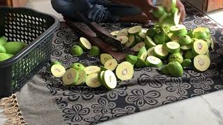 “JALAL” variety Mango Cutting for Pickle