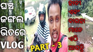 Forest Vlog | Baby Songs Odia | Suryavlogs