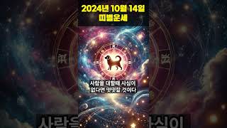 2024년 10월 14일 개띠, 돼지띠 오늘의운세!!  #오늘의운세 #띠별운세 #운세 #개띠운세 #돼지띠운세  #shorts