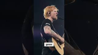 Ed Sheeran - Perfect (Live 2024) A Romantic Journey with You! #concert #edsheeran #live #performance